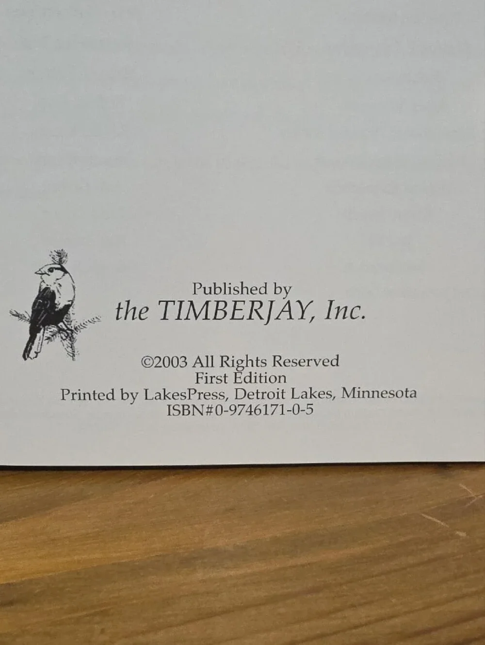 Lake Vermilion Picturing a Bygone Era Coffee Table Book - Black & White